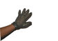 Nylon de gants d'acier inoxydable et ceinture protecteurs en métal pour le boucher