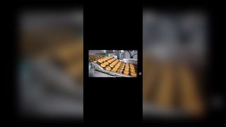 Ceinture flexible de grillage plat de convoyeur de maillon de chaîne d'échelle de four à Pizza d'acier inoxydable pour l'enrobe de chocolat,