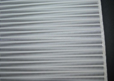 Un bon prix. Petite maille de spirale de polyester de boucle, maille de bande de conveyeur pour la fabrication de papier en ligne