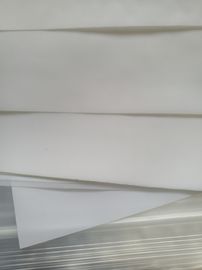 Un bon prix. Maille en nylon de tissu filtrant de santé avec la couleur blanche pour la filtration de nourriture en ligne