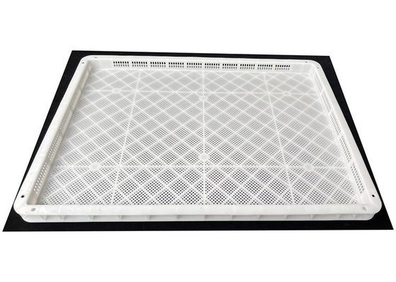Un bon prix. Vente de plateaux de séchage en plastique de qualité alimentaire Hdpe PP en ligne